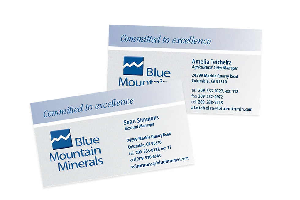 Blue Mountain Minerals Limestone and Dolomitic Limestone 24599